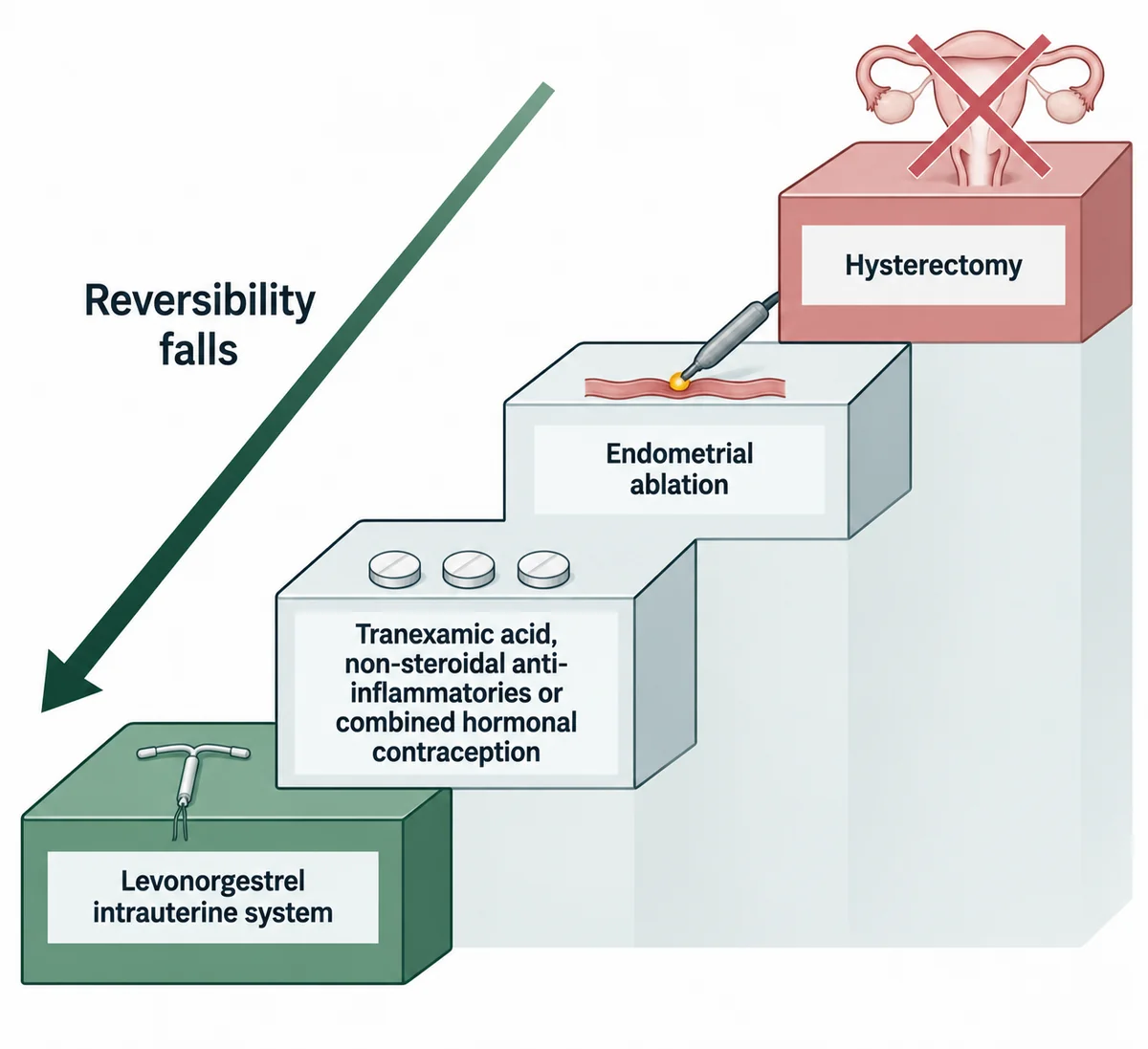 A stepped ladder of treatment: first the levonorgestrel intrauterine system, then tranexamic acid or non-steroidal anti-inflammatories or combined hormonal contraception, then endometrial ablation, and finally hysterectomy, with reversibility falling as the steps rise