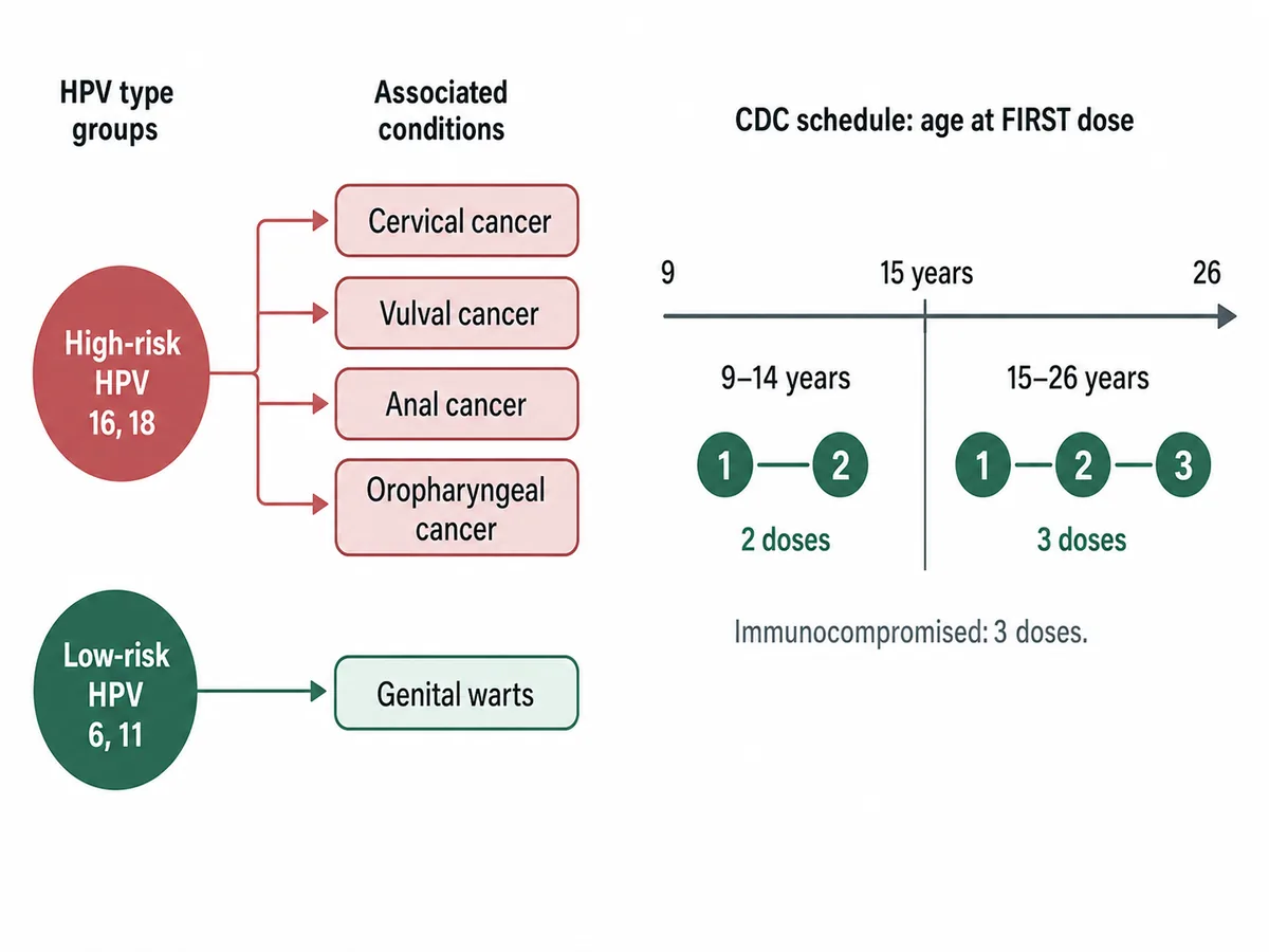 Two panels: one showing high-risk types 16 and 18 leading to cervical, vulval, anal and oropharyngeal cancer and low-risk types 6 and 11 leading to genital warts; the other an age axis with a two-dose schedule marked below fifteen years and a three-dose schedule at fifteen and above